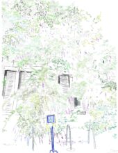 dessin8_sylviecaron_artistepolymorphe dessin8_sylviecaron_artistepolymorphe