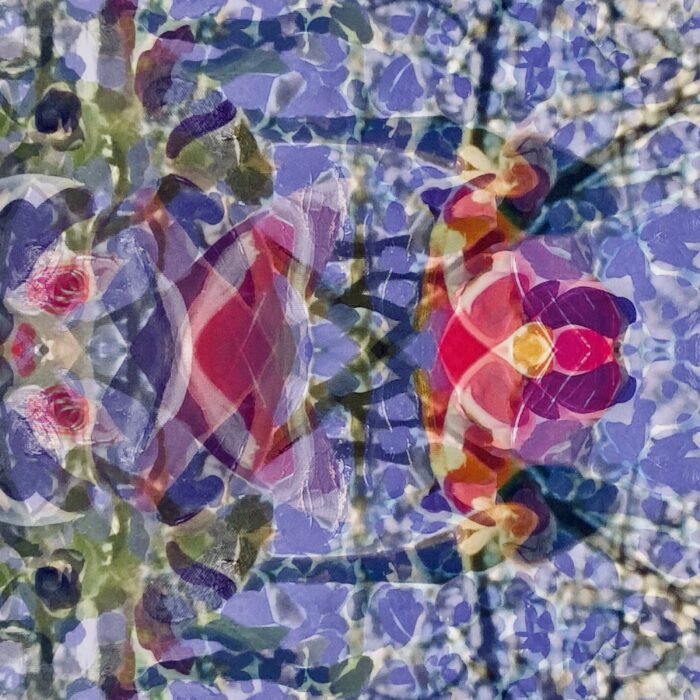 LoveMagnolia(r) est une œuvre polymorphe : du pixel au réel jusqu’aux arbres. C’est un travail sur i-pad Sketchbook, puis sur la production et impression de papiers. Enfin, chaque œuvre vendue finance la plantation d’un arbre Magnolia.