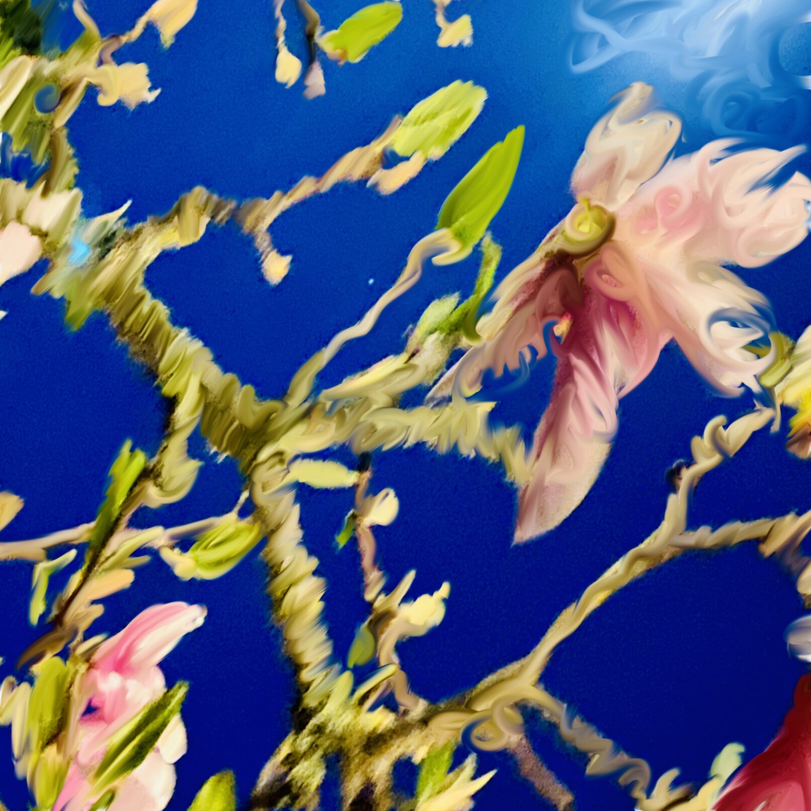 LoveMagnolia entropie d’une floraison par Paule Caron