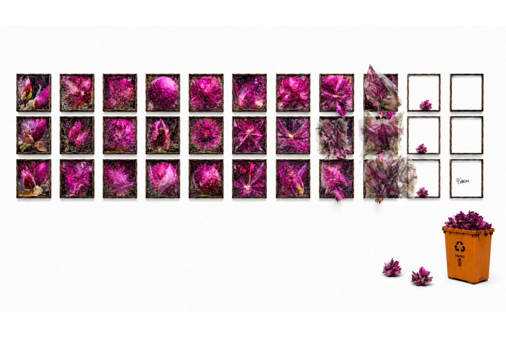 Installation de 33 cadres reveal backlit frames collection magenta de Paule Caron